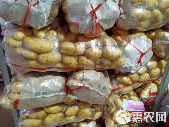 安丘土豆最新價格走勢分析