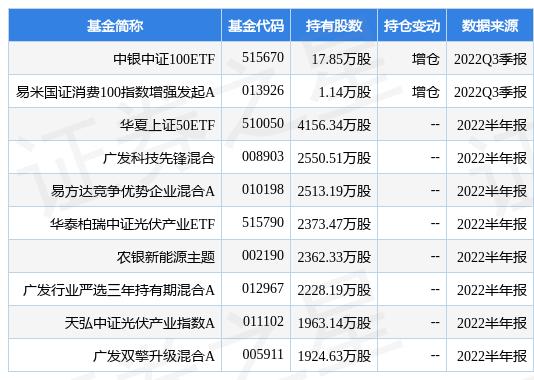 中銀制最新凈值深度解析及前景展望，制造能力展望與趨勢預測