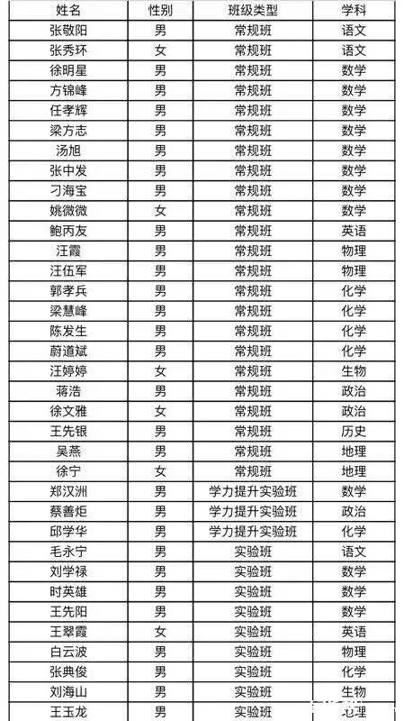 合肥最新691路線探索，揭秘城市新脈絡(luò)