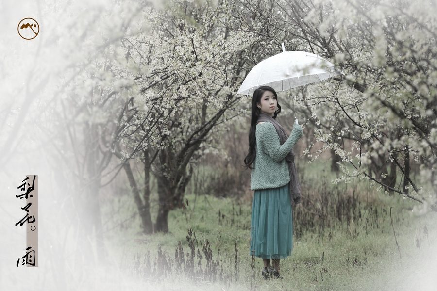 梨花雨影視播單，探索影視世界的精彩瞬間