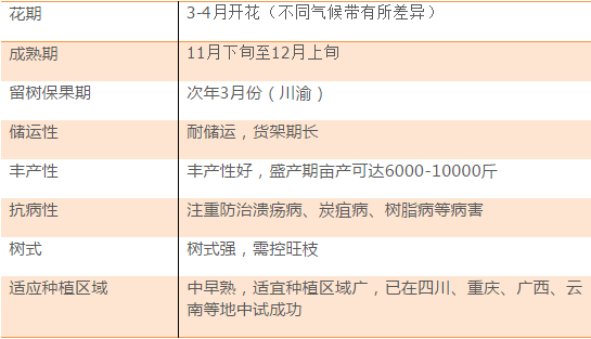 澳門今晚開獎結果是什么優(yōu)勢,快速解答執(zhí)行方案_win305.210