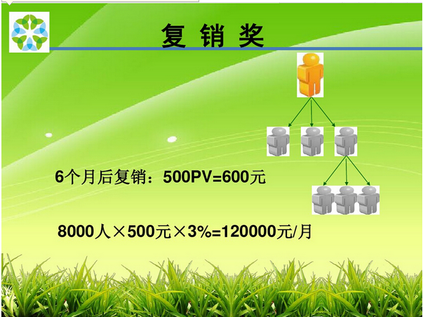 綠葉美嘉最新獎(jiǎng)金制度，激勵(lì)與機(jī)遇的交融之道