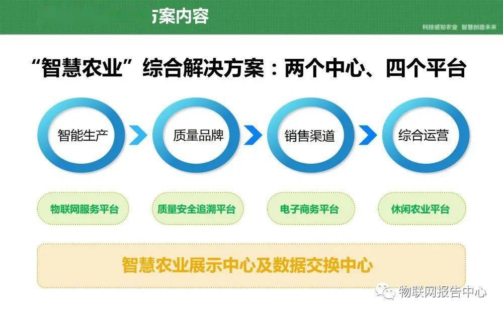 新澳門一碼一肖一特一中準(zhǔn)選今晚,迅速落實(shí)計(jì)劃解答_V279.856