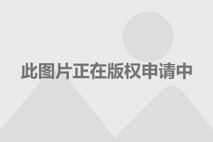 今晚澳門特馬開的什么號碼2024,數據驅動方案實施_戰略版37.124