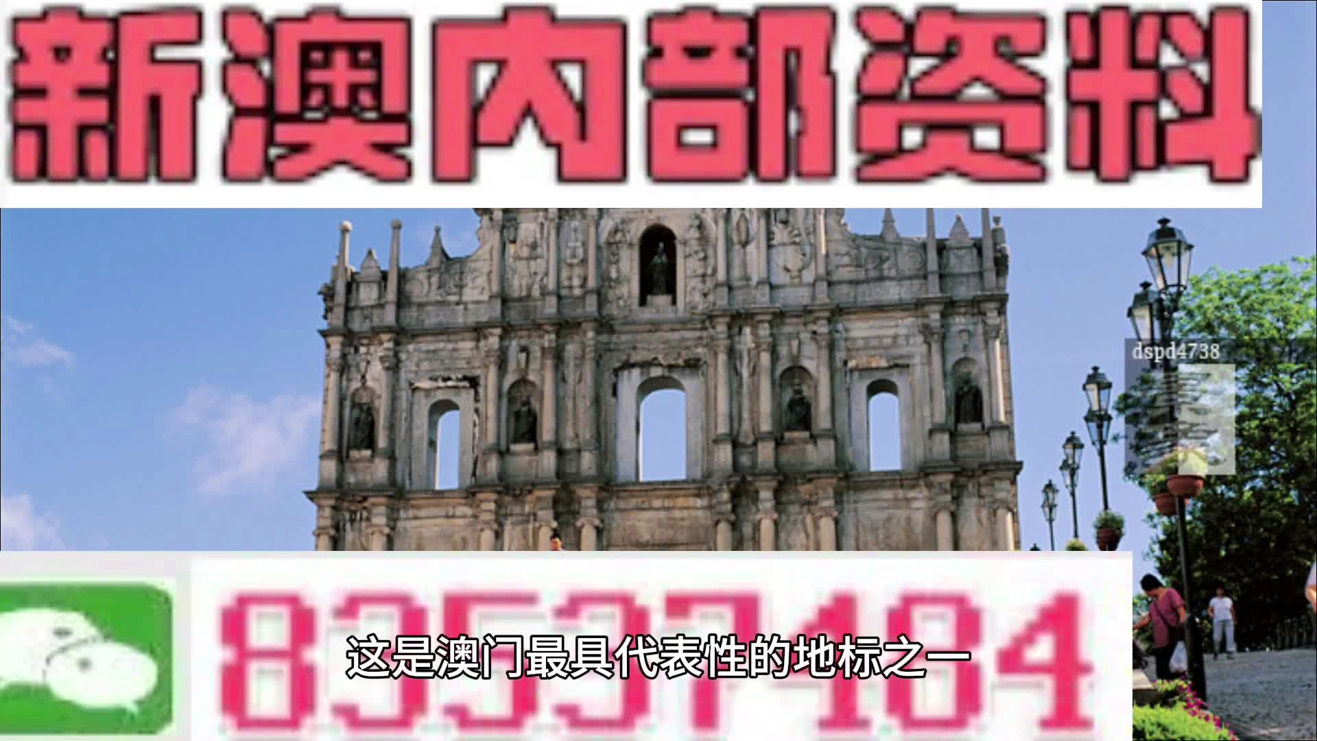 2024新澳三期必出一肖,動態詞語解釋落實_專業版41.940