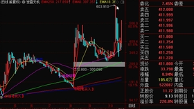 今天晚上澳門三肖兔羊蛇,實效性策略解析_豪華款53.395