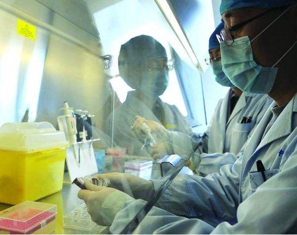 密云地區H7N9最新消息，影響分析與啟示