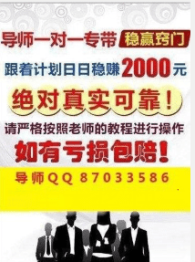 2024澳門天天彩免費正版資料,實地評估解析說明_創意版30.755