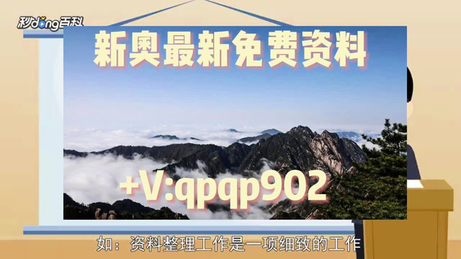 2024新奧正版資料免費,動態說明解析_專家版66.299