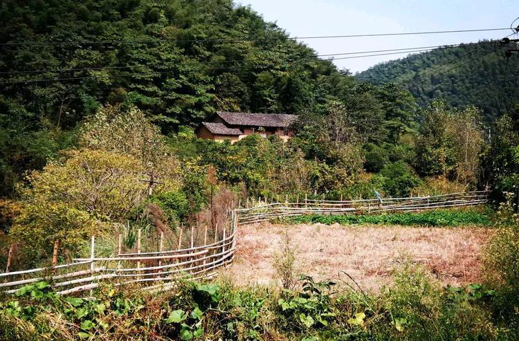 大豐區最新地圖揭示區域發展與變化的藍圖