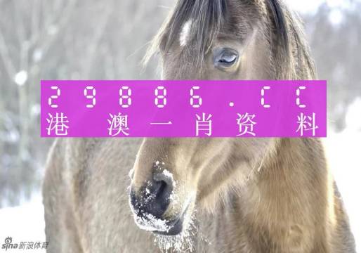 澳門最準(zhǔn)一肖一碼100精準(zhǔn),詮釋分析解析_XR65.283