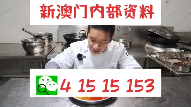 管家婆一碼一肖資料大全,全面數據分析實施_領航款23.999