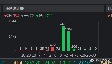 2024年新奧門天天開彩,數(shù)據(jù)分析驅(qū)動決策_薄荷版11.492