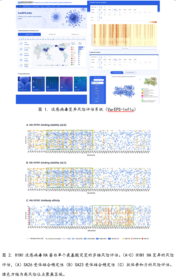 2024全年資料免費(fèi)大全,實(shí)地?cái)?shù)據(jù)評(píng)估設(shè)計(jì)_Executive48.876