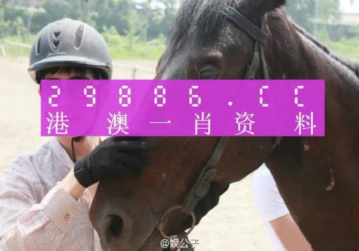 今晚上澳門必中一肖,定性評(píng)估說明_完整版69.526