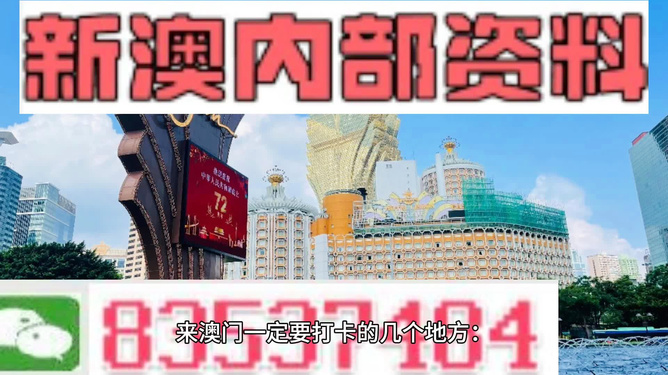 新澳門資料全年免費(fèi)精準(zhǔn),效率資料解釋定義_Elite23.176