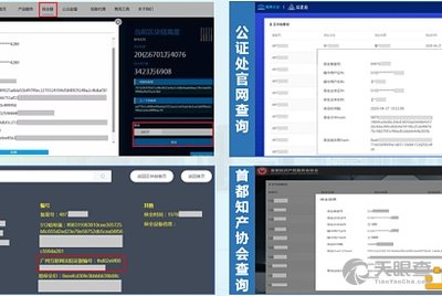 新澳最精準正最精準龍門客棧,實效設(shè)計策略_Windows42.463