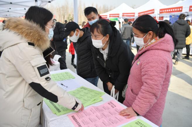 太倉市人民政府辦公室最新招聘啟事詳解