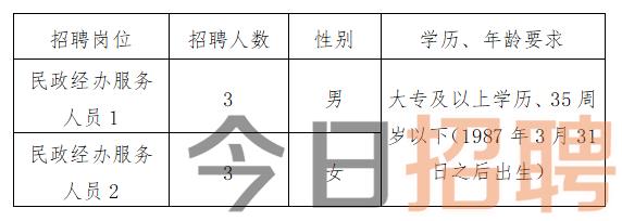 新建縣計(jì)劃生育委員會(huì)招聘公告，最新職位信息及要求