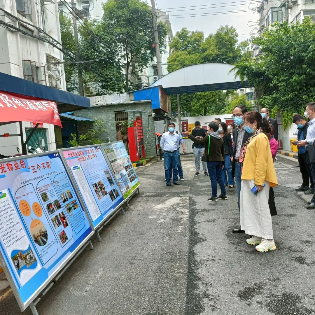 大光路街道交通優(yōu)化新聞，改善交通環(huán)境，提升居民出行體驗(yàn)