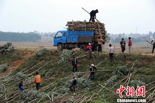 陸良縣水利局推動縣域水利事業(yè)蓬勃發(fā)展，最新動態(tài)報道