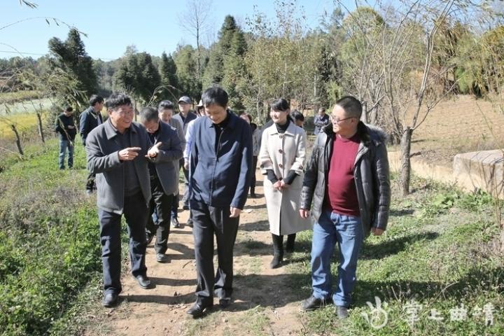 李家灣村民委員會啟動鄉(xiāng)村振興項目，共創(chuàng)美好未來