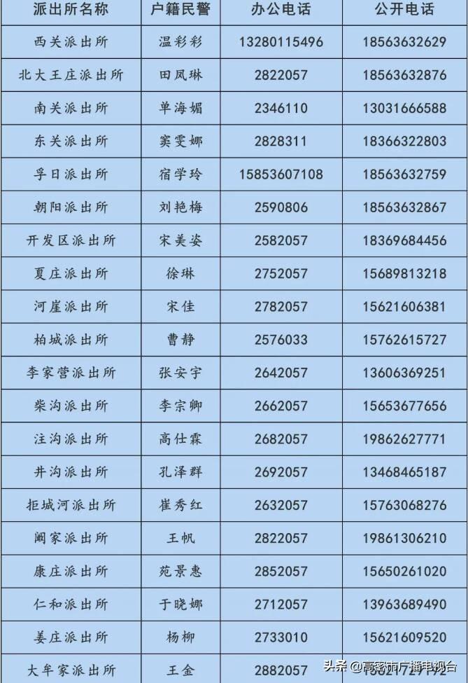 高密市公安局現(xiàn)代化警務體系發(fā)展規(guī)劃，提升社會治安水平新篇章