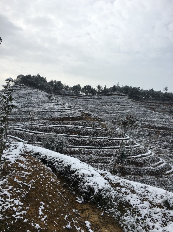 上梅鄉(xiāng)天氣預(yù)報(bào)更新通知