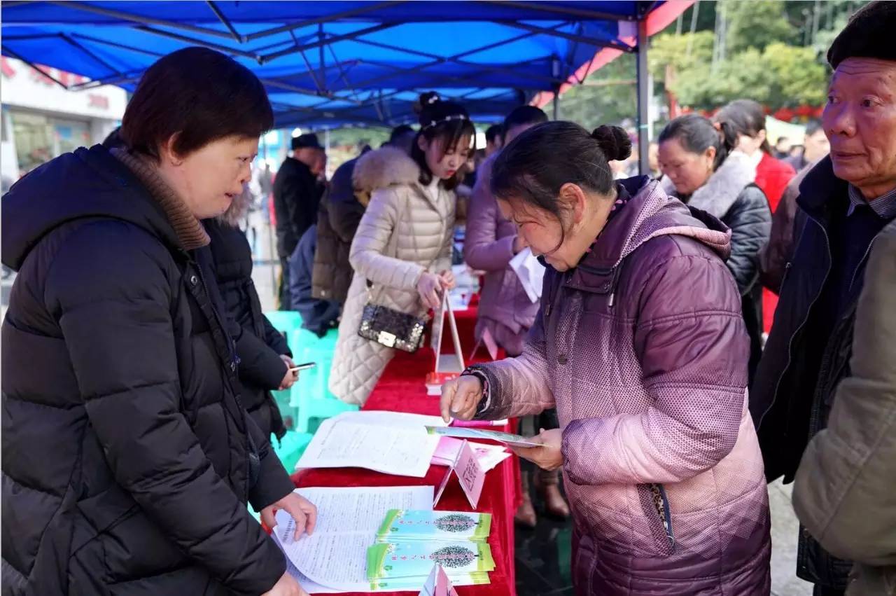 南川區(qū)劇團(tuán)最新招聘信息與詳情概覽