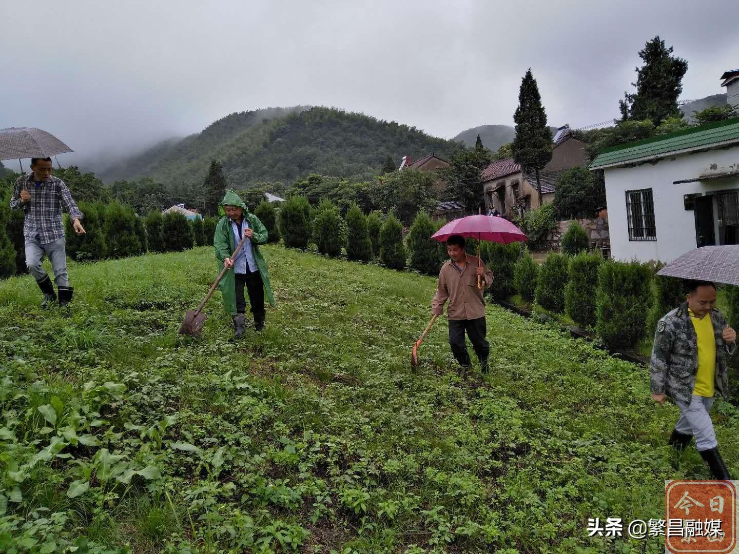 鐵門(mén)村委會(huì)領(lǐng)導(dǎo)團(tuán)隊(duì)新貌，鄉(xiāng)村發(fā)展的核心力量