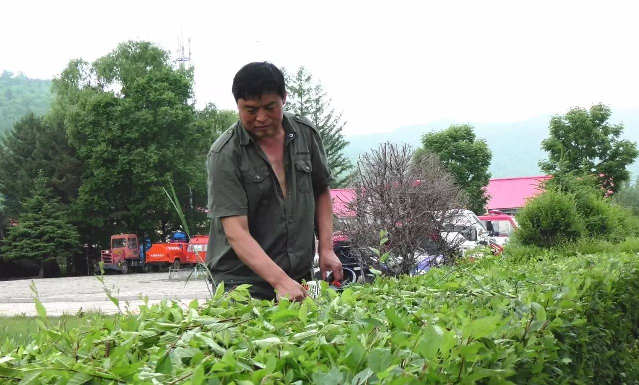 雙鴨山林業(yè)局大葉溝林場新領導團隊引領開啟新篇章