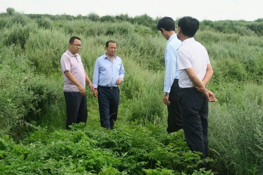 白土窯村委會(huì)最新項(xiàng)目，鄉(xiāng)村振興新動(dòng)力啟動(dòng)