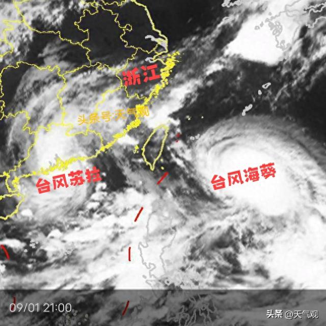 浙台风最新动态，影响分析与发展评估报告