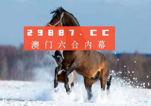 澳门王中王四肖中特,实地验证策略方案_开发版57.515