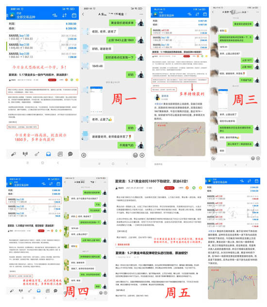 2024年11月17日 第53页