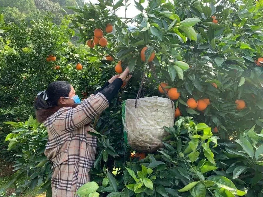 开州最新招聘信息汇总