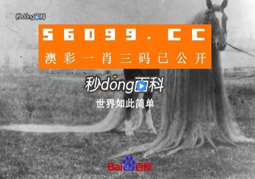 澳门一肖一码精准100王中王,动态词语解释落实_zShop92.591