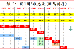 新澳门六开彩今晚开奖,高效性实施计划解析_GT82.246