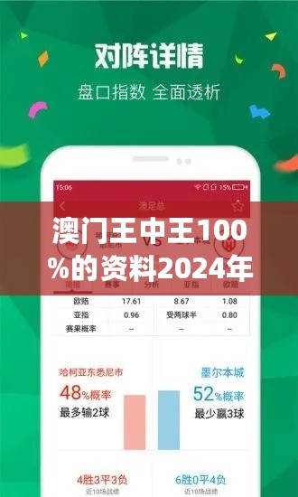 2024年澳门王中王,极速解答解释落实_WP39.628