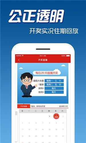 4949澳门今晚开奖,全面分析说明_顶级款34.233