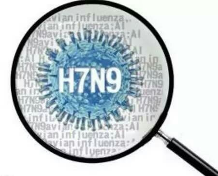 H7N9禽流感最新感染人数探讨