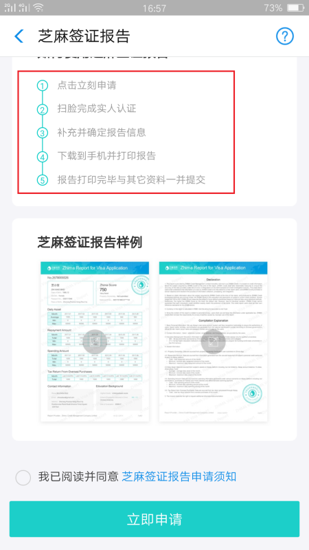 海事签证报告下载的重要性及应用探讨，助力航运业高效管理与决策