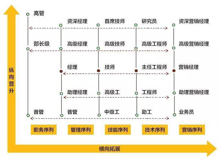 2024年新奥门天天开彩,诠释评估说明_XE版92.506