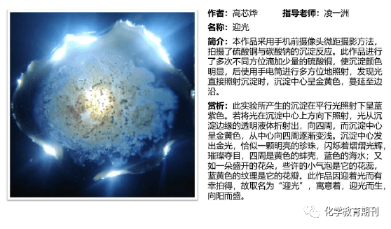 二四六蓝月亮开奖大全全年资料,科学数据评估_MR87.615