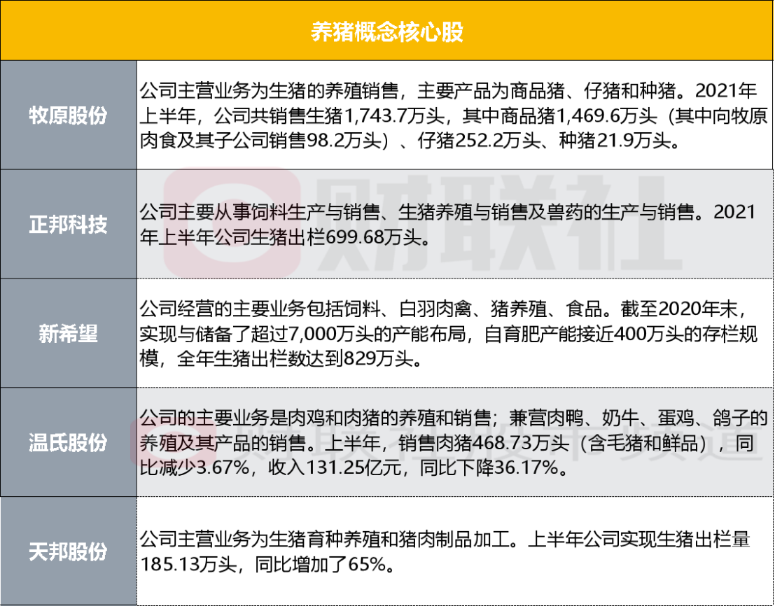 新澳2023年精准资料大全,长期性计划定义分析_Z94.546