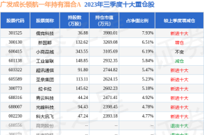 2024新奥正规免费资料大全,实地分析解释定义_定制版39.224