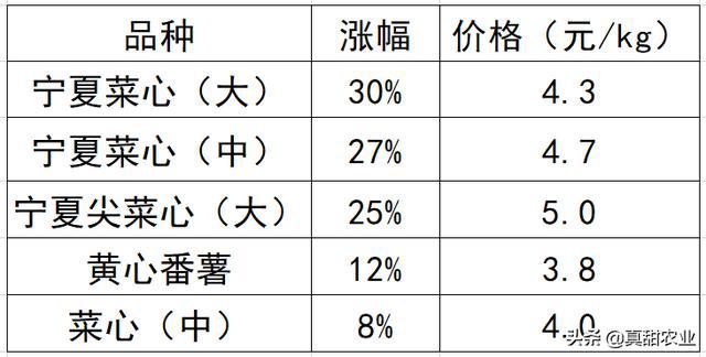 江南市场最新菜价报价概览