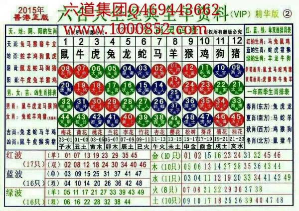 2024十二生肖49码表,涵盖了广泛的解释落实方法_KP62.672