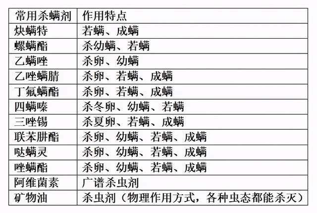 打开澳门全年免费精准资料,高效性实施计划解析_X版98.996