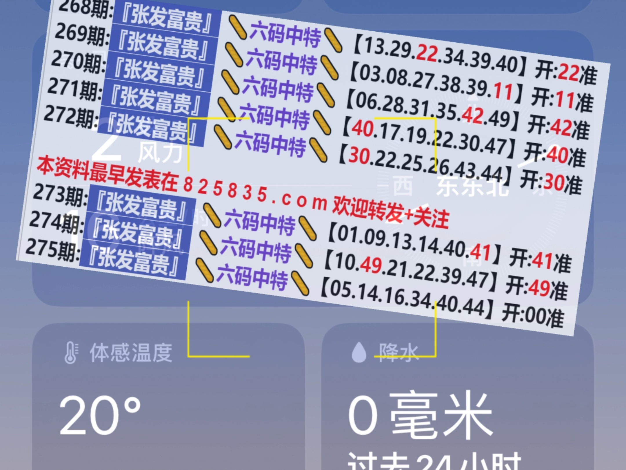 2024新奥门天天开好彩大全85期,可靠研究解释定义_基础版85.295